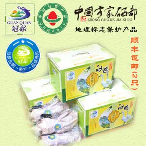 冠泉一星連城白鴨