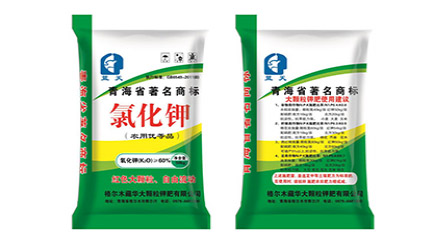 巨兽碗